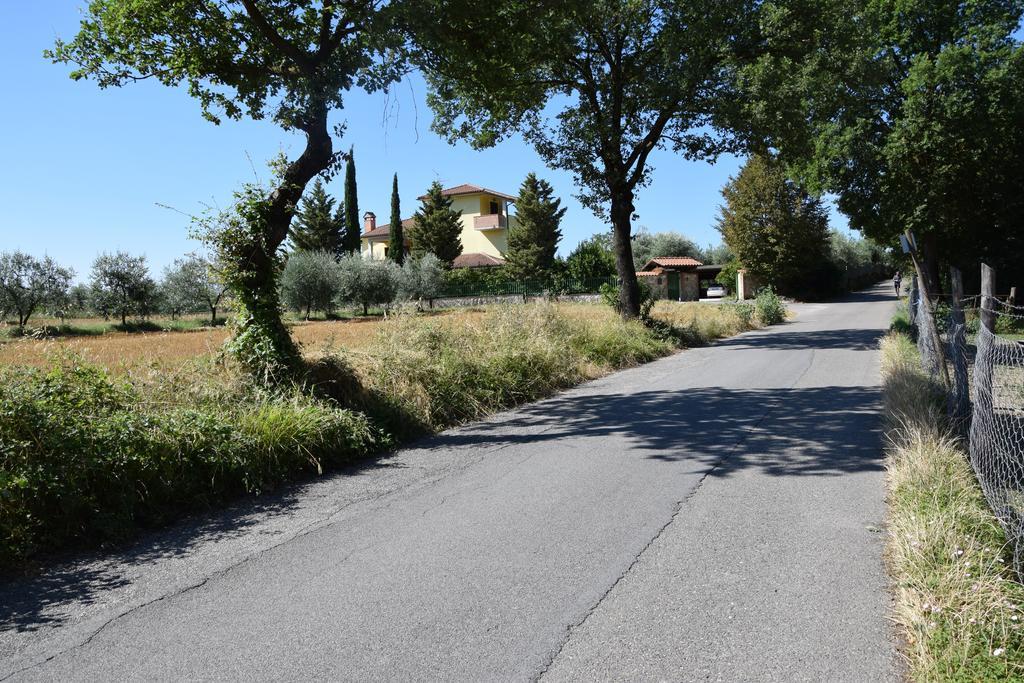 La Casa Nell'Oliveto Bed & Breakfast Acquasparta Exterior foto